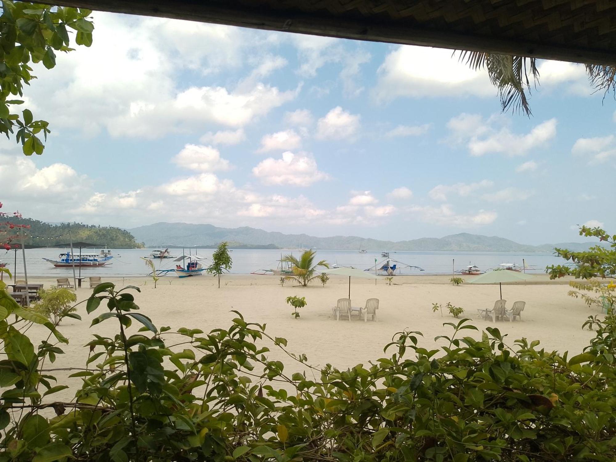 Greenviews Resort & Restaurant Port Barton San Vicente  Buitenkant foto
