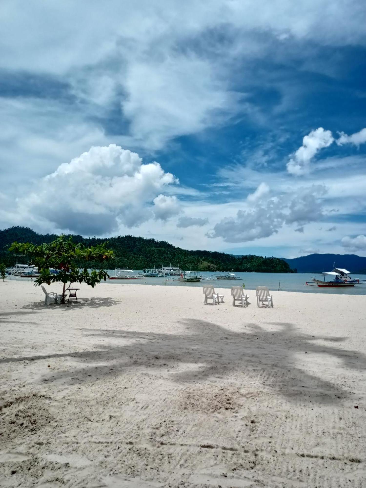 Greenviews Resort & Restaurant Port Barton San Vicente  Buitenkant foto
